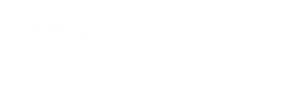 Flight Day Ammunition